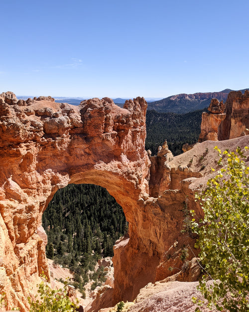 Mini no. 22, Bryce Natural Bridge