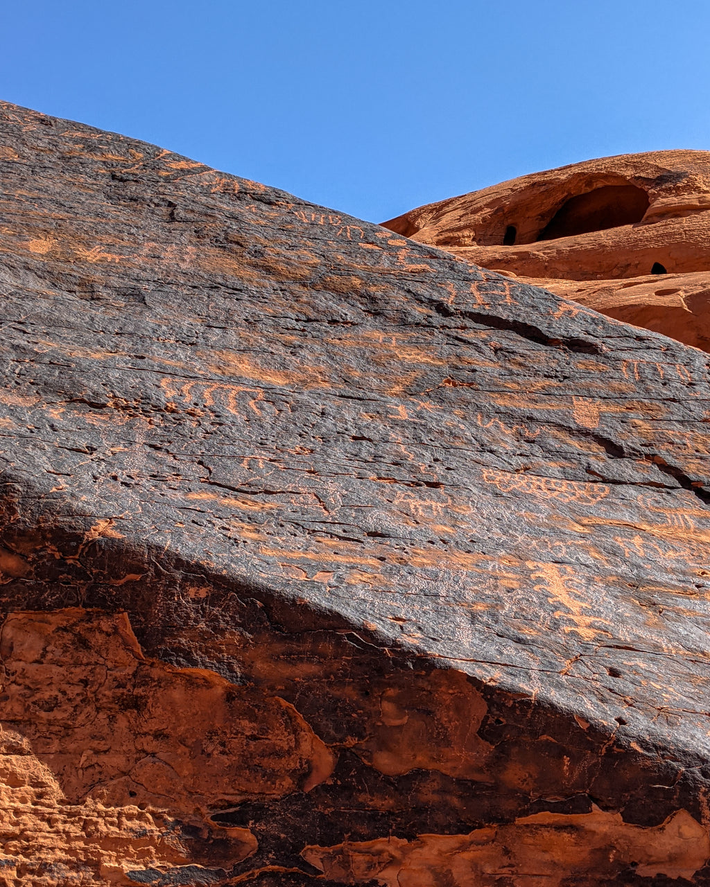 Petroglyph Canyon scarf